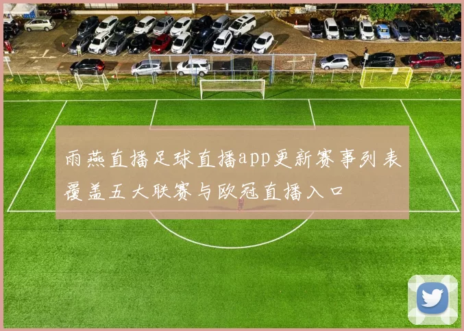 雨燕直播足球直播app更新赛事列表覆盖五大联赛与欧冠直播入口