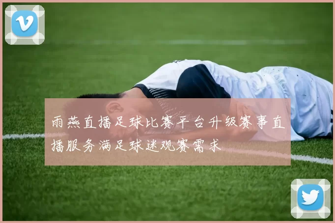 雨燕直播足球比赛平台升级赛事直播服务满足球迷观赛需求