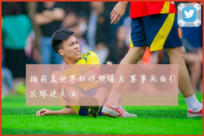 梅莉嘉世界杯视频曝光 赛事画面引发球迷关注